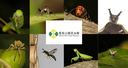Web site image