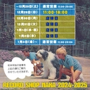 Web site image