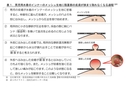 Web site image