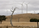 Web site image