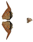 Web site image