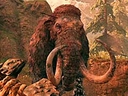 Web site image