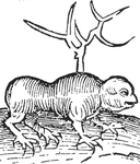 Web site image