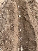 Web site image