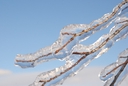 Web site image