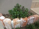 Web site image