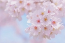 Web site image