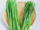 Web site image