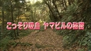 Web site image