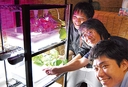 Web site image