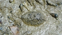 Web site image