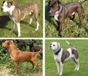 Web site image