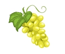 Web site image