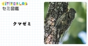 Web site image