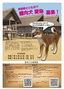 Web site image