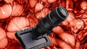 Web site image