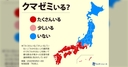 Web site image