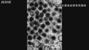 Web site image