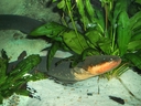 Web site image