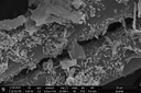 Web site image