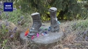 Web site image
