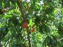 Web site image