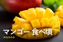 Web site image