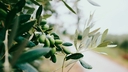 Web site image