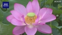 Web site image