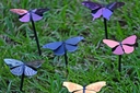 Web site image