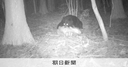 Web site image