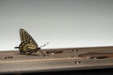 Web site image