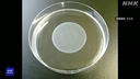Web site image