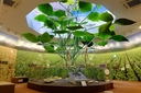 Web site image