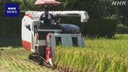 Web site image