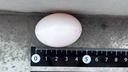 Web site image
