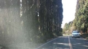 Web site image