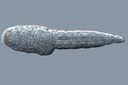 Web site image