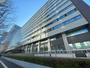 Web site image