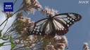 Web site image