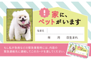 Web site image