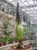 Web site image