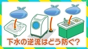 Web site image
