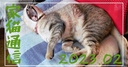 Web site image