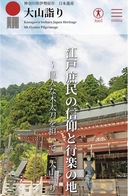 Web site image