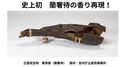 Web site image
