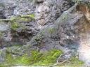 Web site image