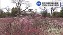 Web site image