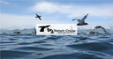 Web site image