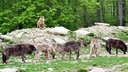 Web site image